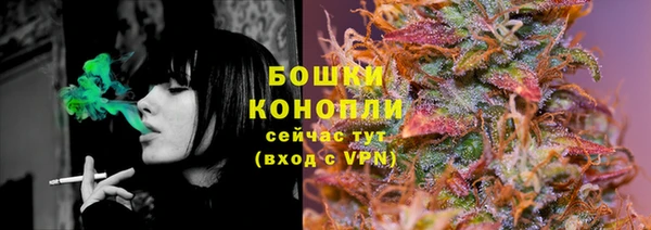 ALPHA-PVP Няндома