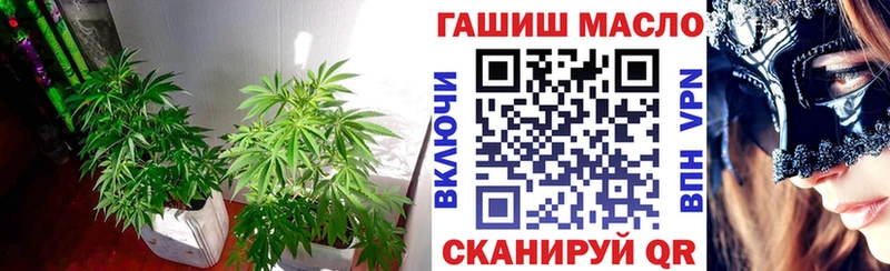 купить наркотики сайты  Снежногорск  Дистиллят ТГК THC oil 