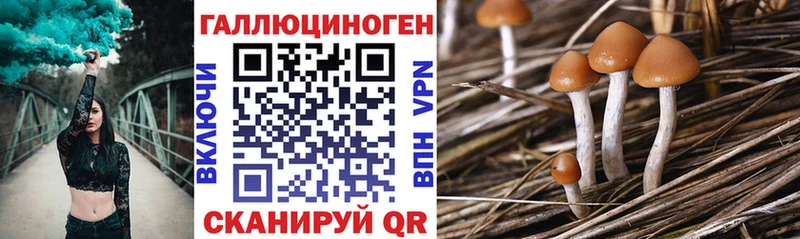 Псилоцибиновые грибы мухоморы  Снежногорск 